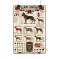 Satin Posters canine anatomy poster Printify