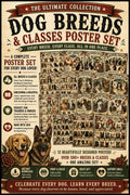 Dog breeds and classes posters Shoutcanine.co